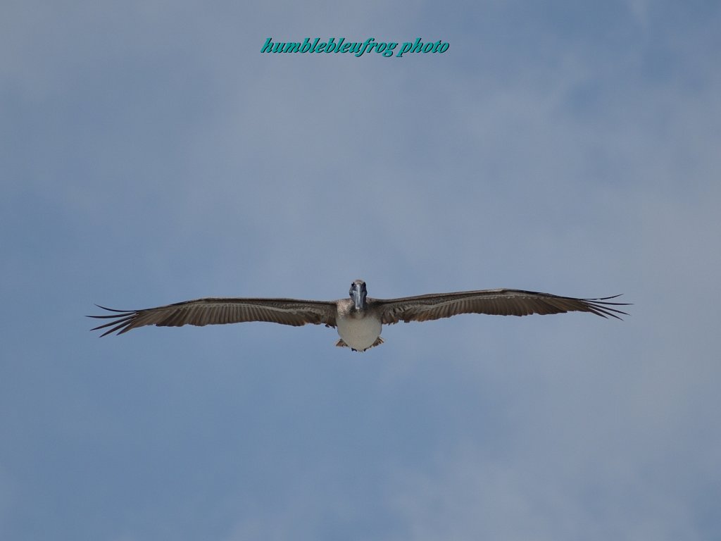 Gliding