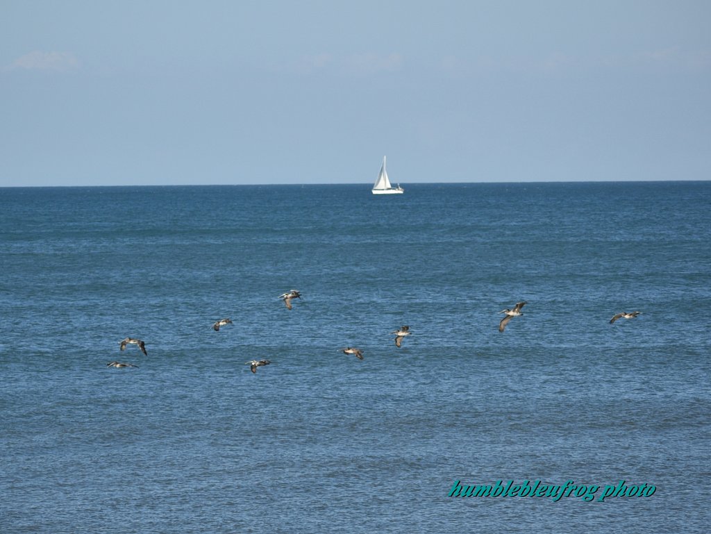 Sailing