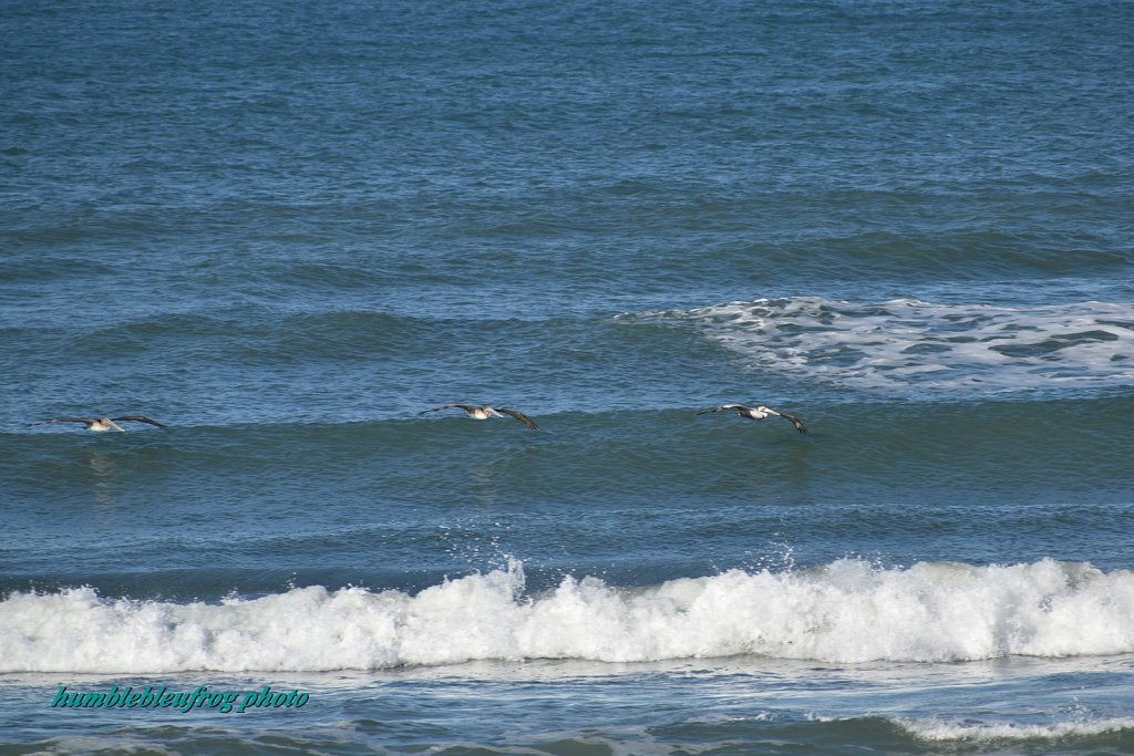 Skimming