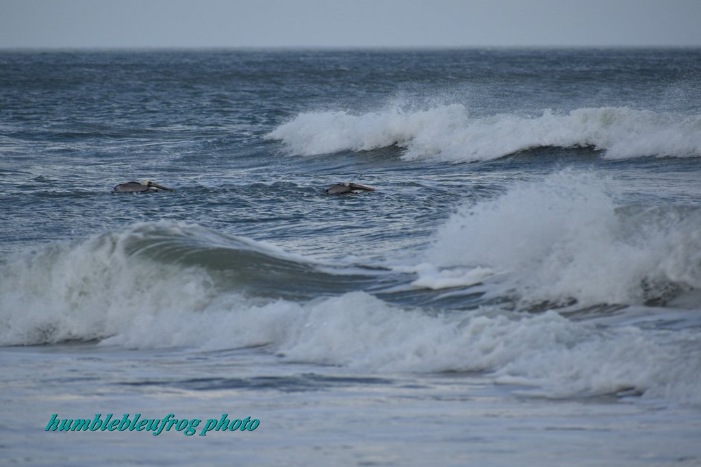 Waves