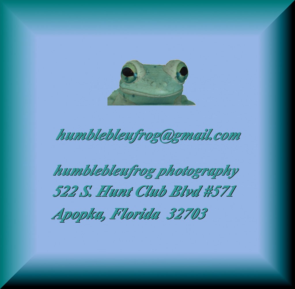 humblebleufrog contact