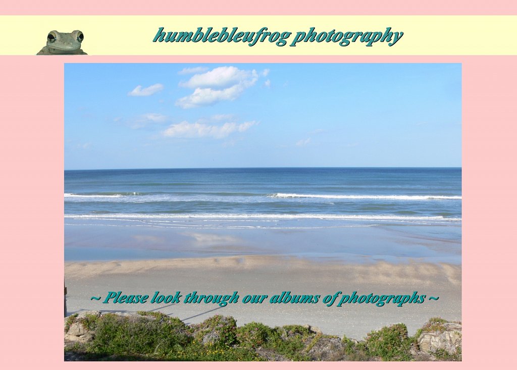 Please look through our albums ~ 