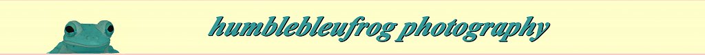 banner4layer30.jpg