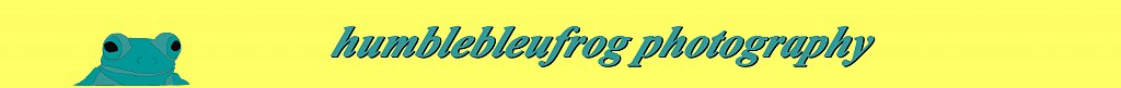 banner4yel.jpg